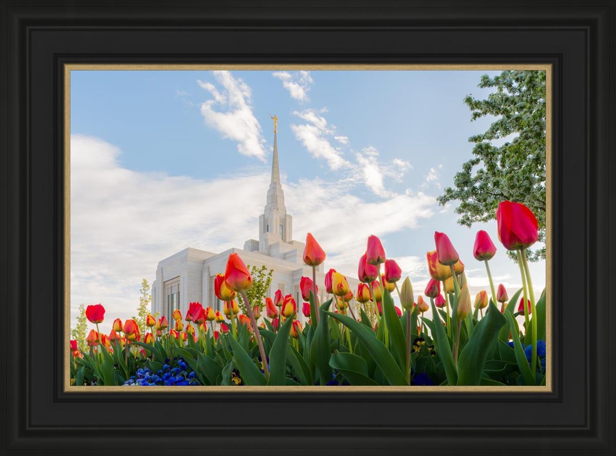 Ogden Flowers