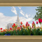 Ogden Flowers