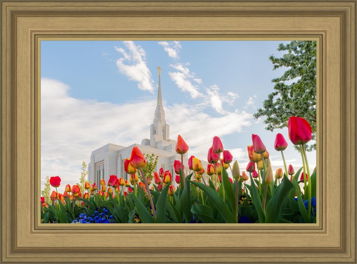 Ogden Flowers