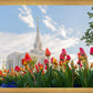 Ogden Flowers