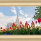 Ogden Flowers