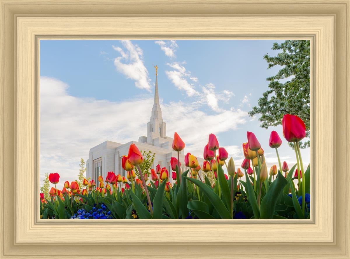 Ogden Flowers