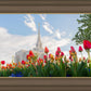 Ogden Flowers