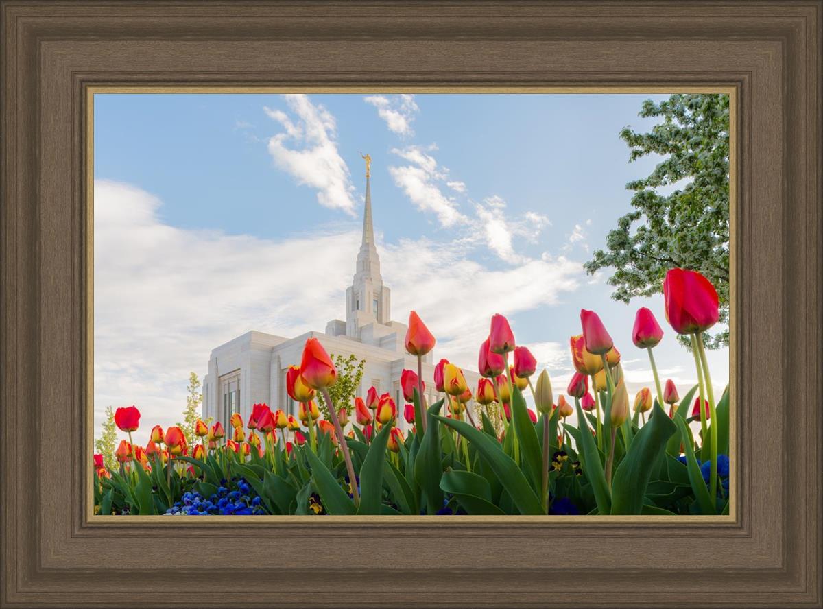 Ogden Flowers