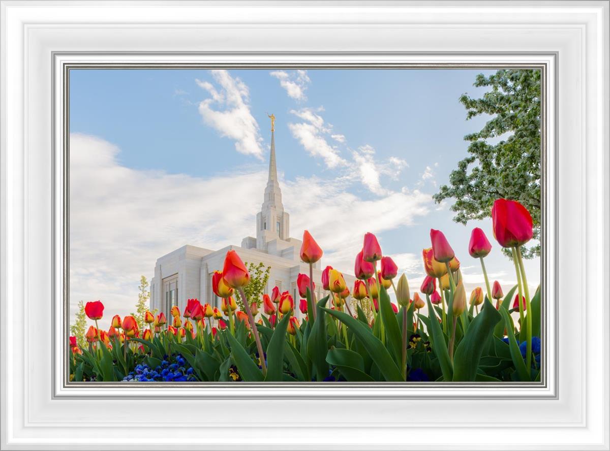 Ogden Flowers