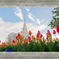 Ogden Flowers