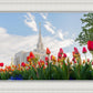 Ogden Flowers