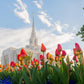 Ogden Flowers