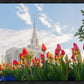 Ogden Flowers