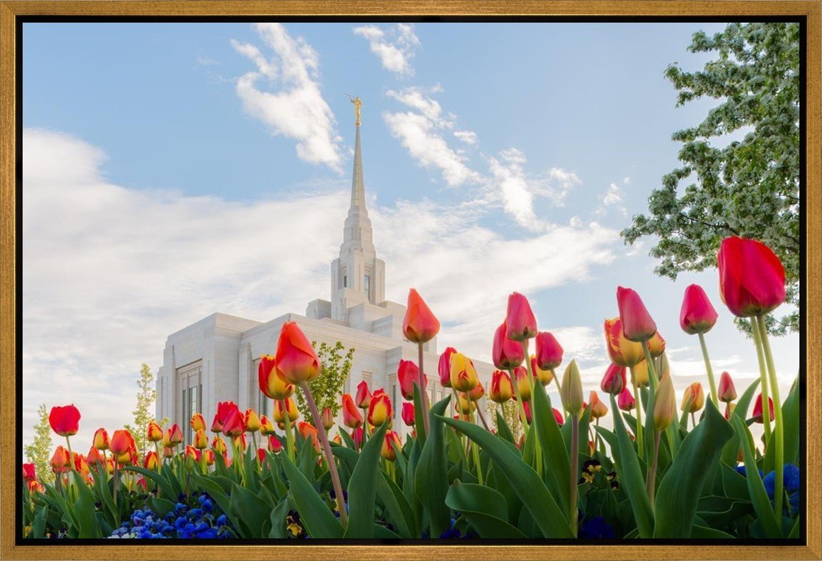Ogden Flowers