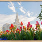 Ogden Flowers
