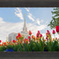 Ogden Flowers