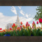 Ogden Flowers
