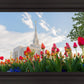 Ogden Flowers