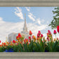 Ogden Flowers