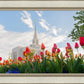 Ogden Flowers