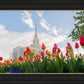 Ogden Flowers