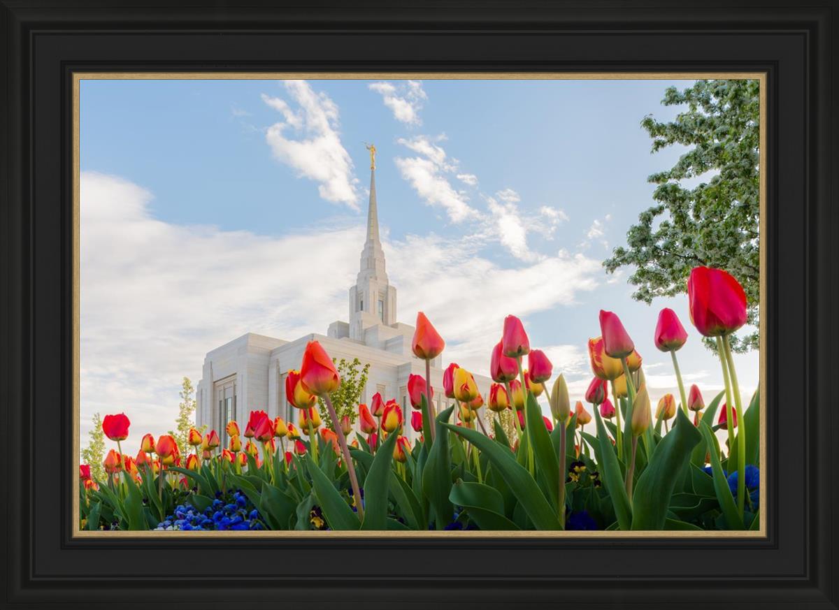 Ogden Flowers