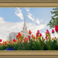 Ogden Flowers