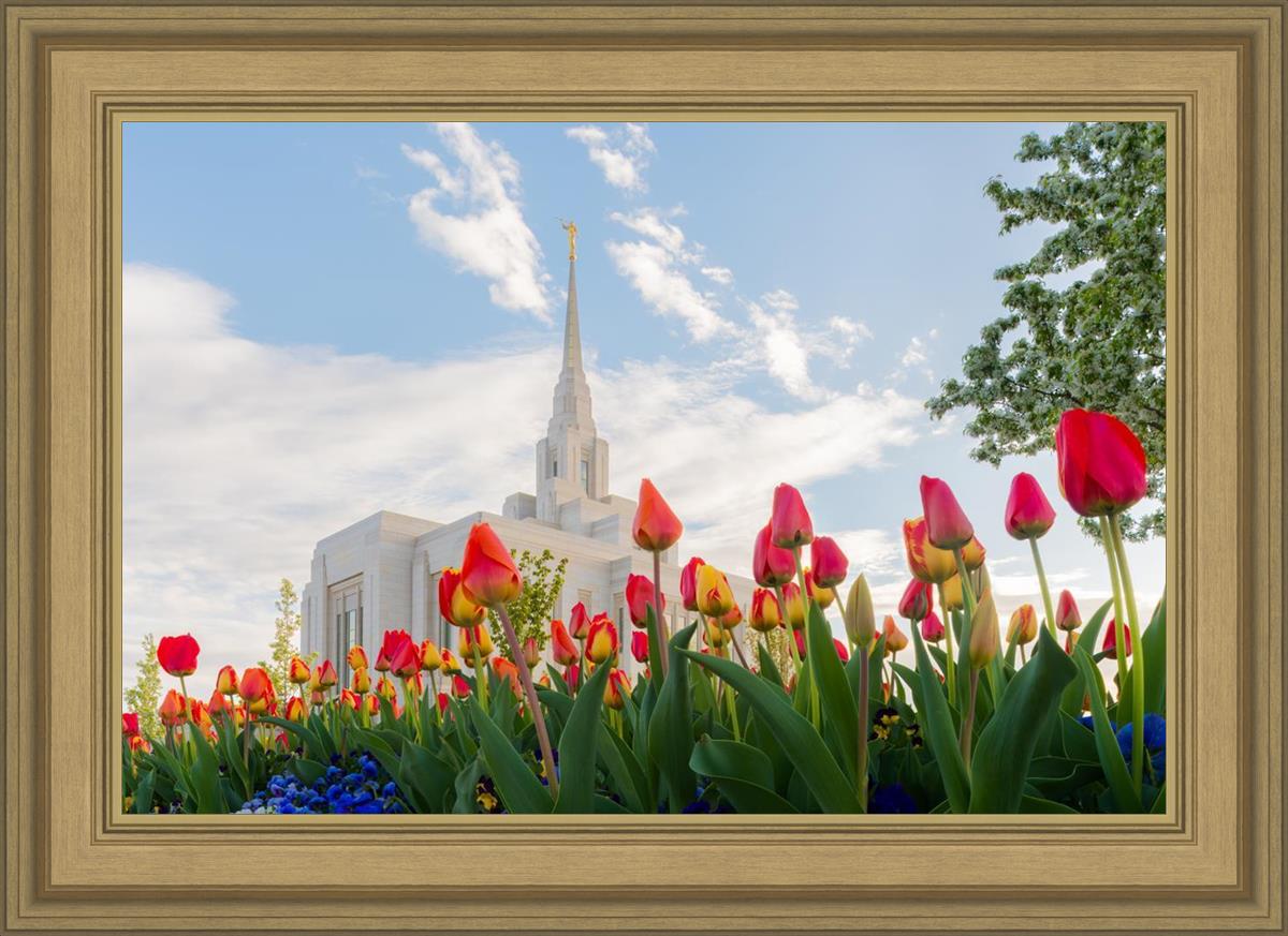Ogden Flowers