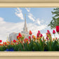Ogden Flowers