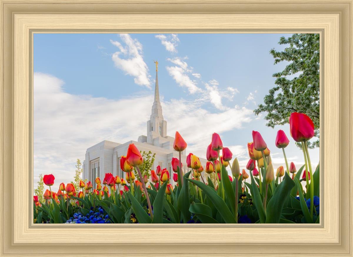 Ogden Flowers