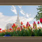 Ogden Flowers