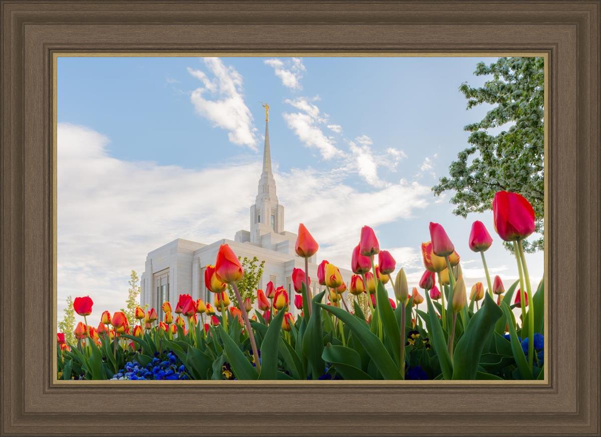 Ogden Flowers