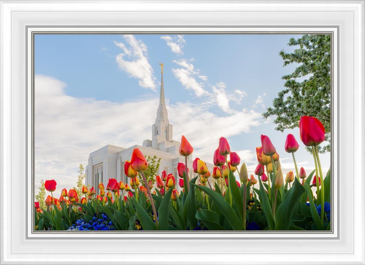 Ogden Flowers