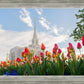 Ogden Flowers