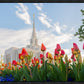 Ogden Flowers