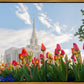 Ogden Flowers