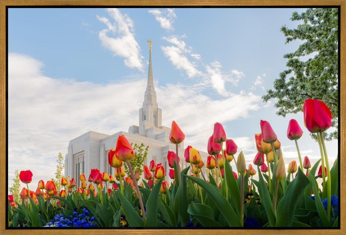 Ogden Flowers