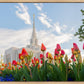 Ogden Flowers