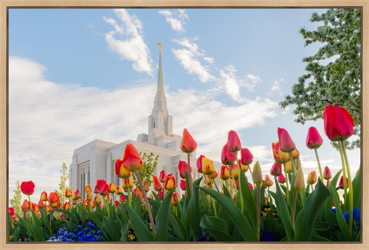 Ogden Flowers