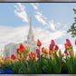 Ogden Flowers