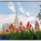 Ogden Flowers
