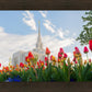 Ogden Flowers