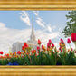 Ogden Flowers