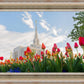 Ogden Flowers