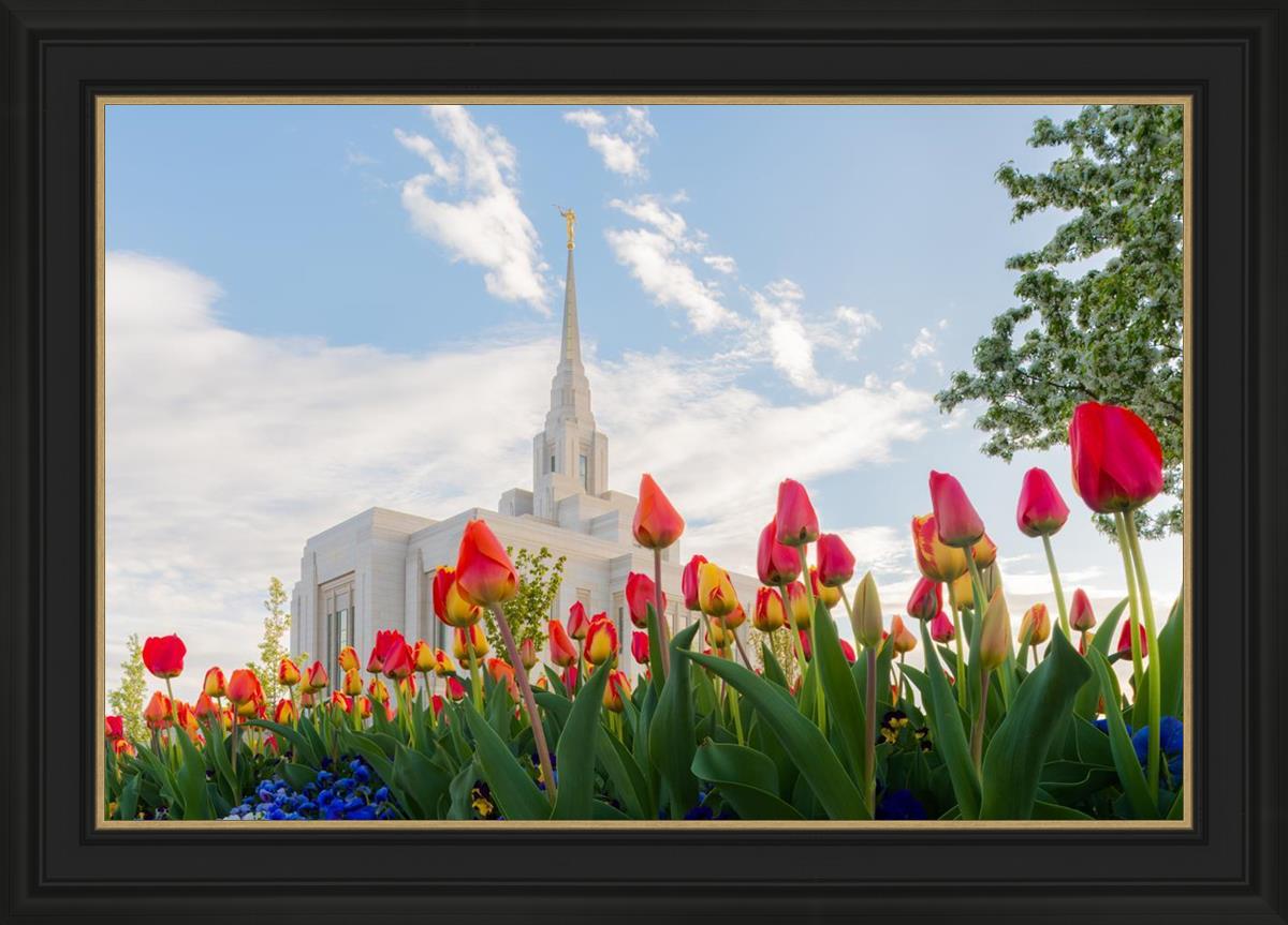 Ogden Flowers