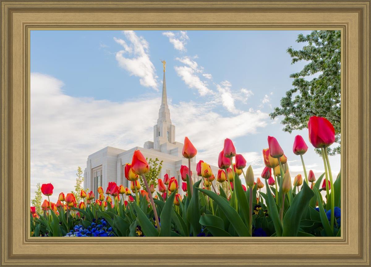 Ogden Flowers
