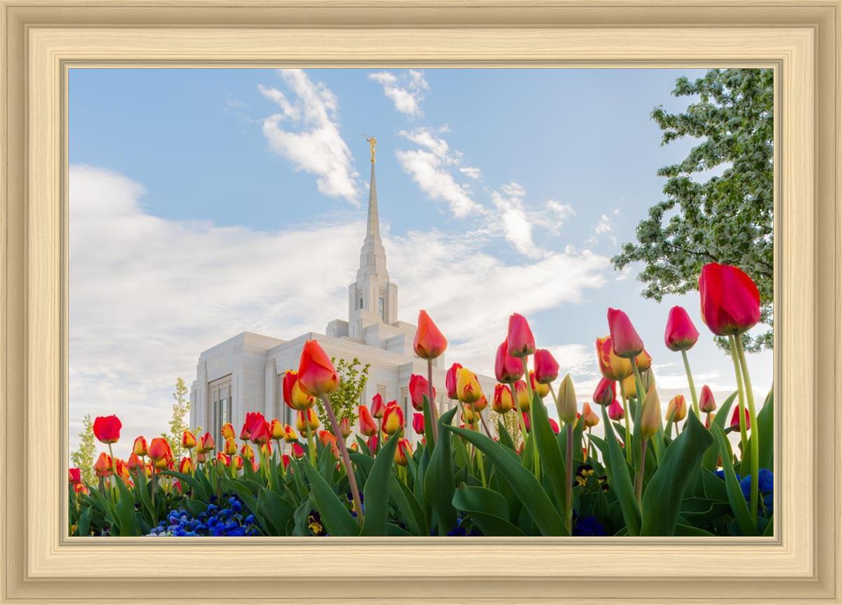 Ogden Flowers