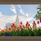 Ogden Flowers