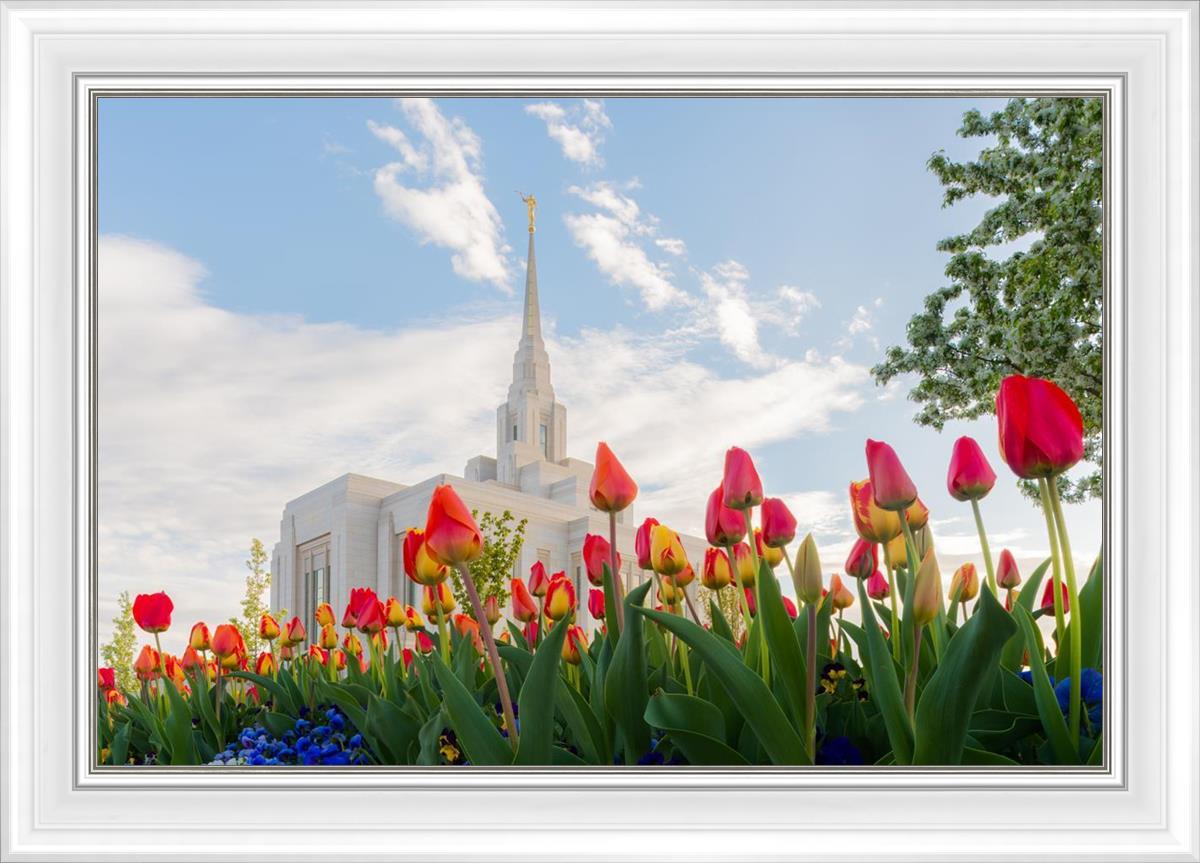 Ogden Flowers
