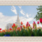 Ogden Flowers