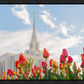 Ogden Flowers