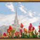 Ogden Flowers