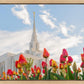 Ogden Flowers