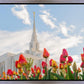 Ogden Flowers